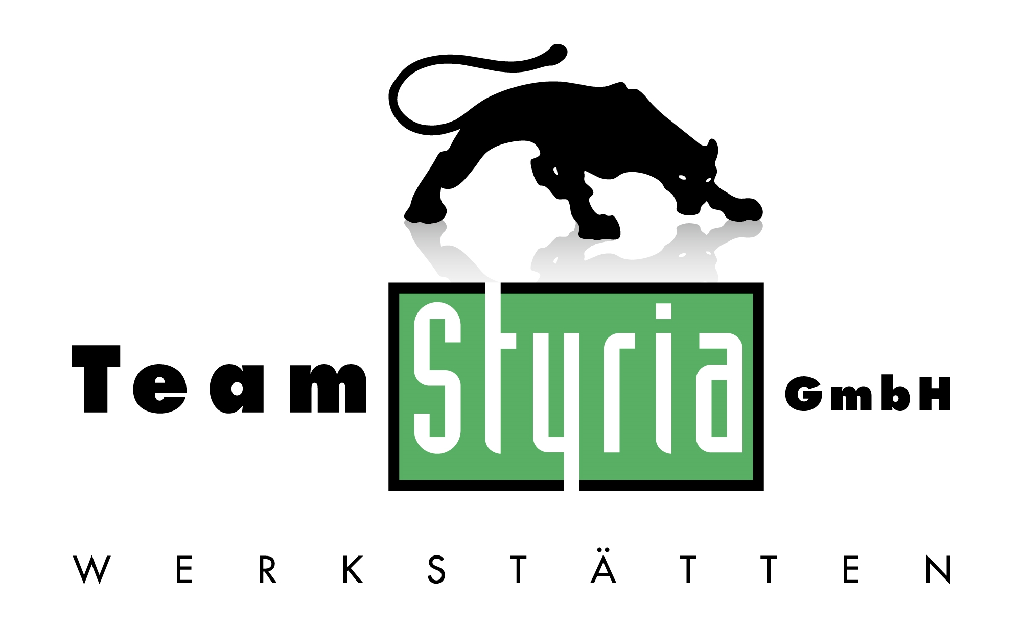 Team Styria Werkstätten GmbH Werk 4170 